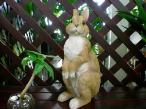 お待たせしました。人気のウサギちゃん。入荷です。｜「はなせん」　（群馬県前橋市の花キューピット加盟店 花屋）のブログ