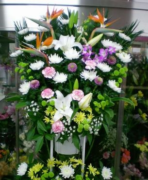 dscn8032