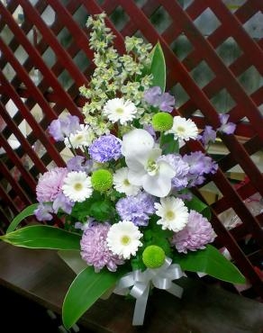 dscn8155
