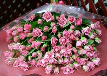 ピンクのスプレーバラが24本の花束。お届け完了しました。《前橋市の花屋》｜「はなせん」　（群馬県前橋市の花キューピット加盟店 花屋）のブログ