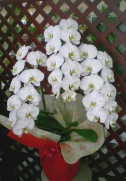 dscn0158
