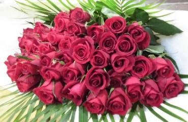 赤バラ４８本のプロ―ポーズの花束。｜「はなせん」　（群馬県前橋市の花キューピット加盟店 花屋）のブログ
