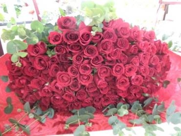 プロポーズに赤いバラ１０８本の花束｜「はなせん」　（群馬県前橋市の花キューピット加盟店 花屋）のブログ