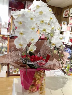 １０周年のお祝いの胡蝶蘭｜「はなせん」　（群馬県前橋市の花キューピット加盟店 花屋）のブログ