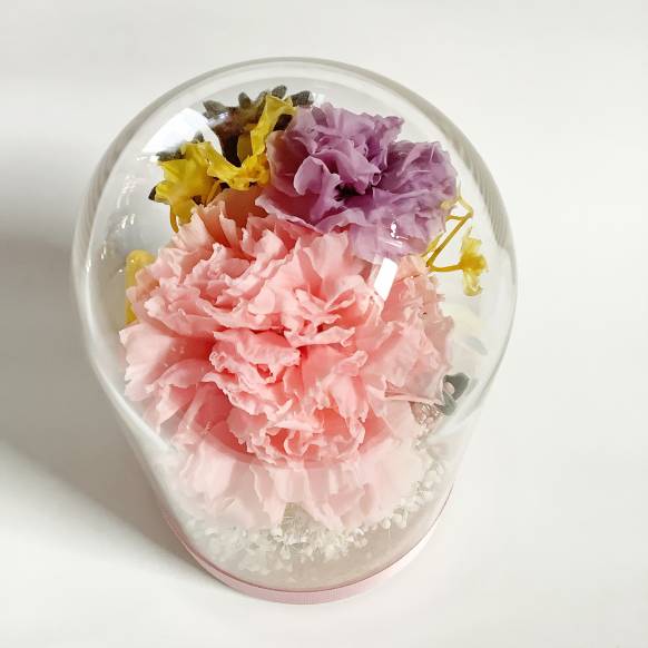 ガラスドームにピンクとライラックのカーネーションのプリザーブドフラワー