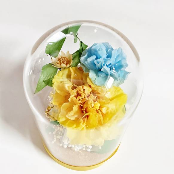 ガラスドームに黄色と水色のカーネーションのプリザーブドフラワー